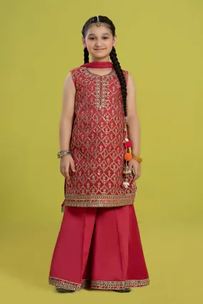 3 Piece Embroidered Organza Suit | MKS-EF24-14