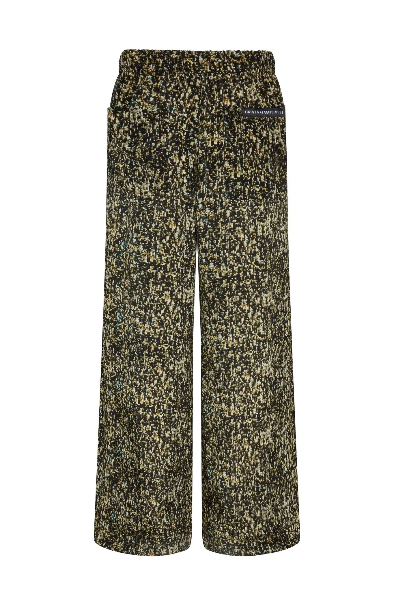 Bowie Digital Camo Baggy Pants