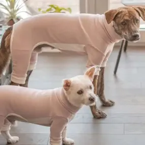 High-Neck Dog Jumpsuit - Pink